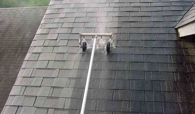 Roof Moss Removal Services in Delridge WA